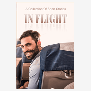 In Flight (E-book)