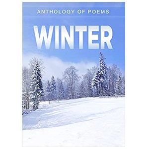 Winter (E-book)