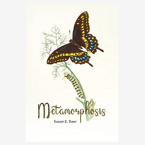 Metamorphosis (E-book)