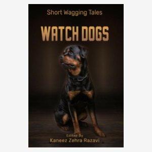 Watch Dogs